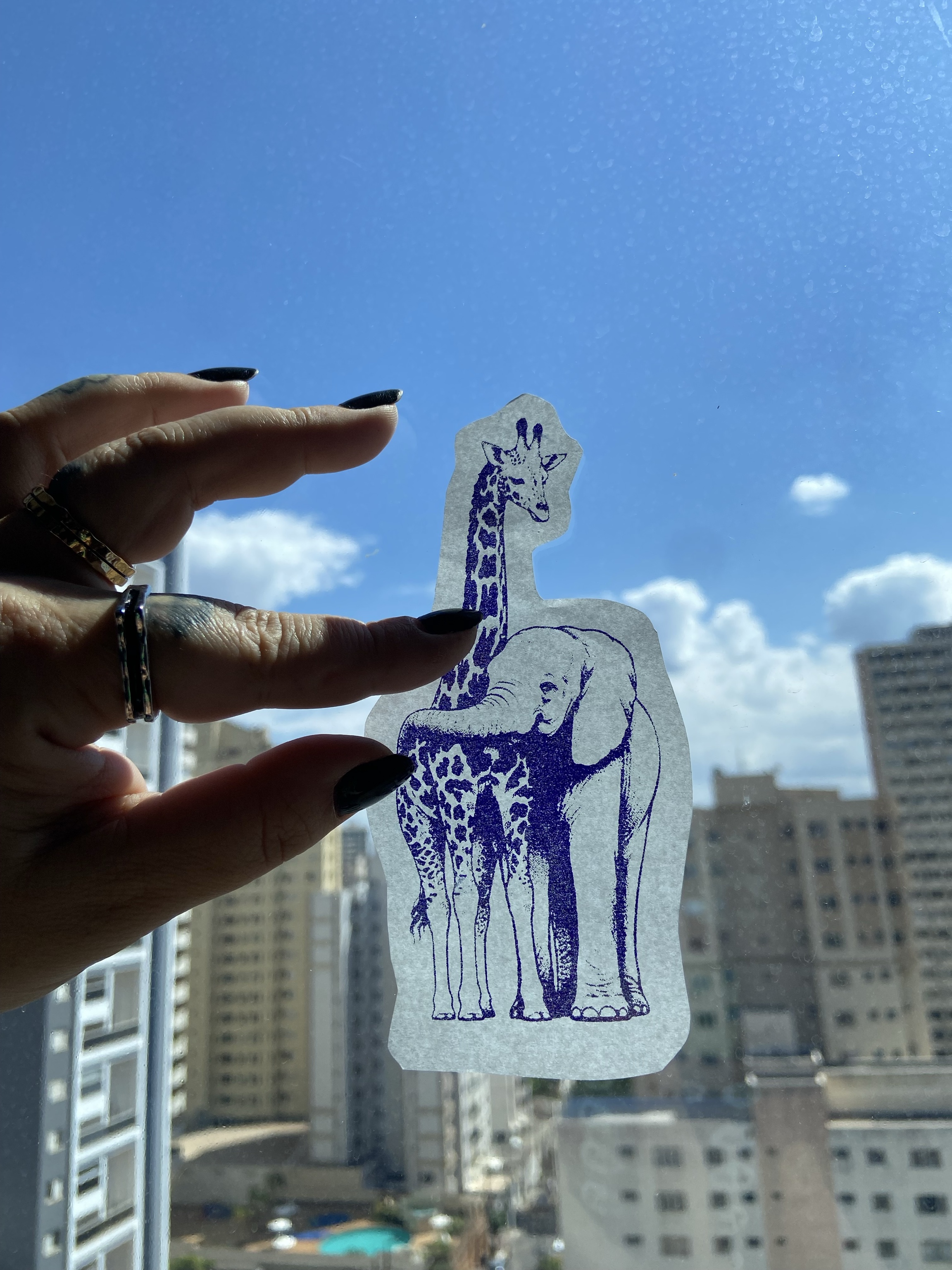 Flash autoral de girafa, elefante e onça juntos