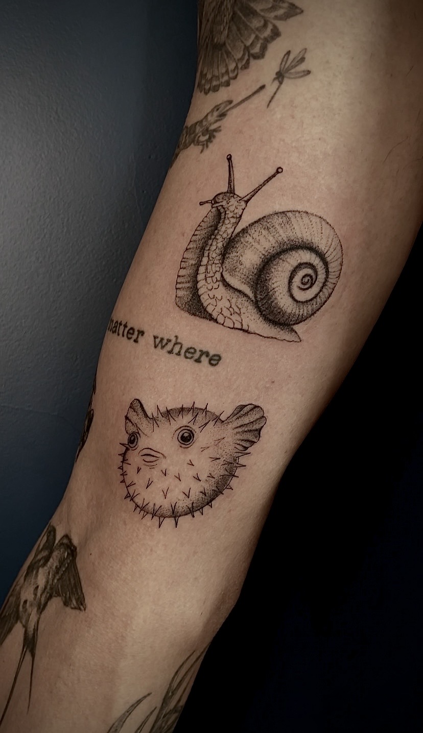 Tatuagens delicadas de caracol e baiacu