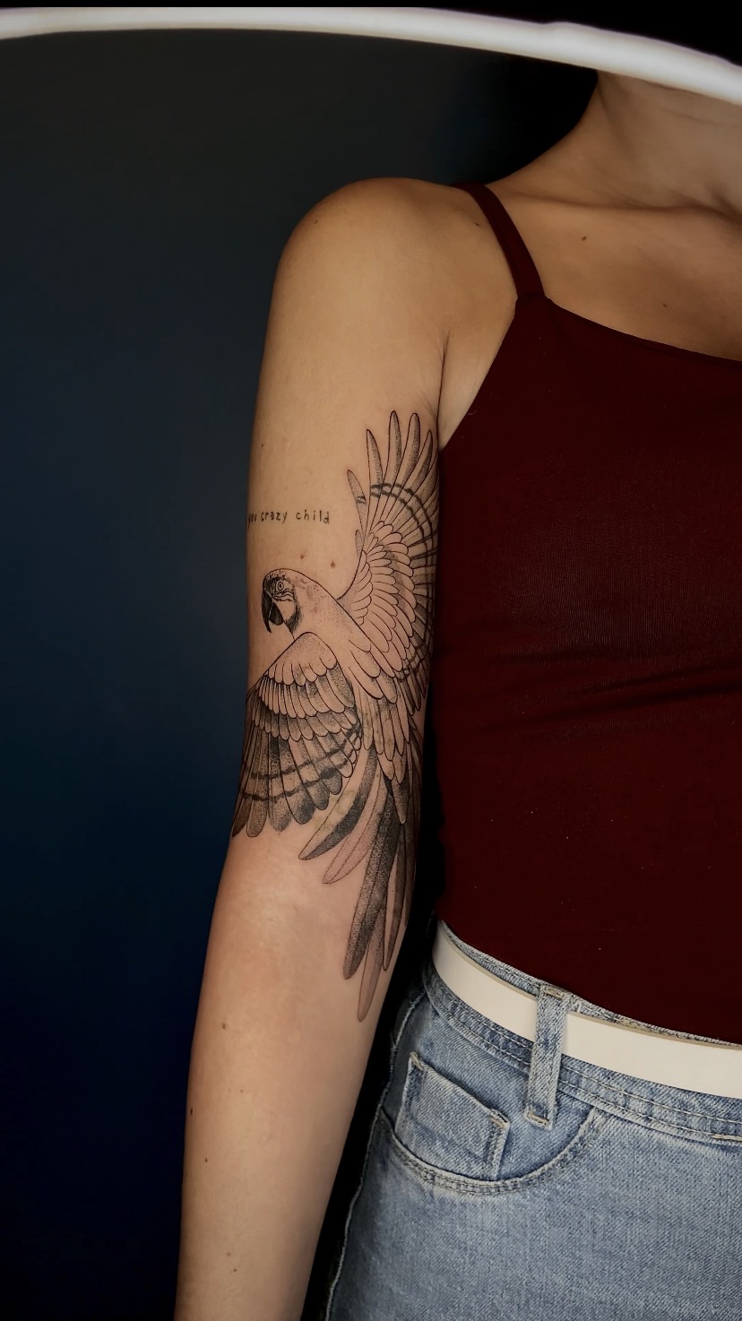 Tatuagem de arara em voo acompanhando o braço